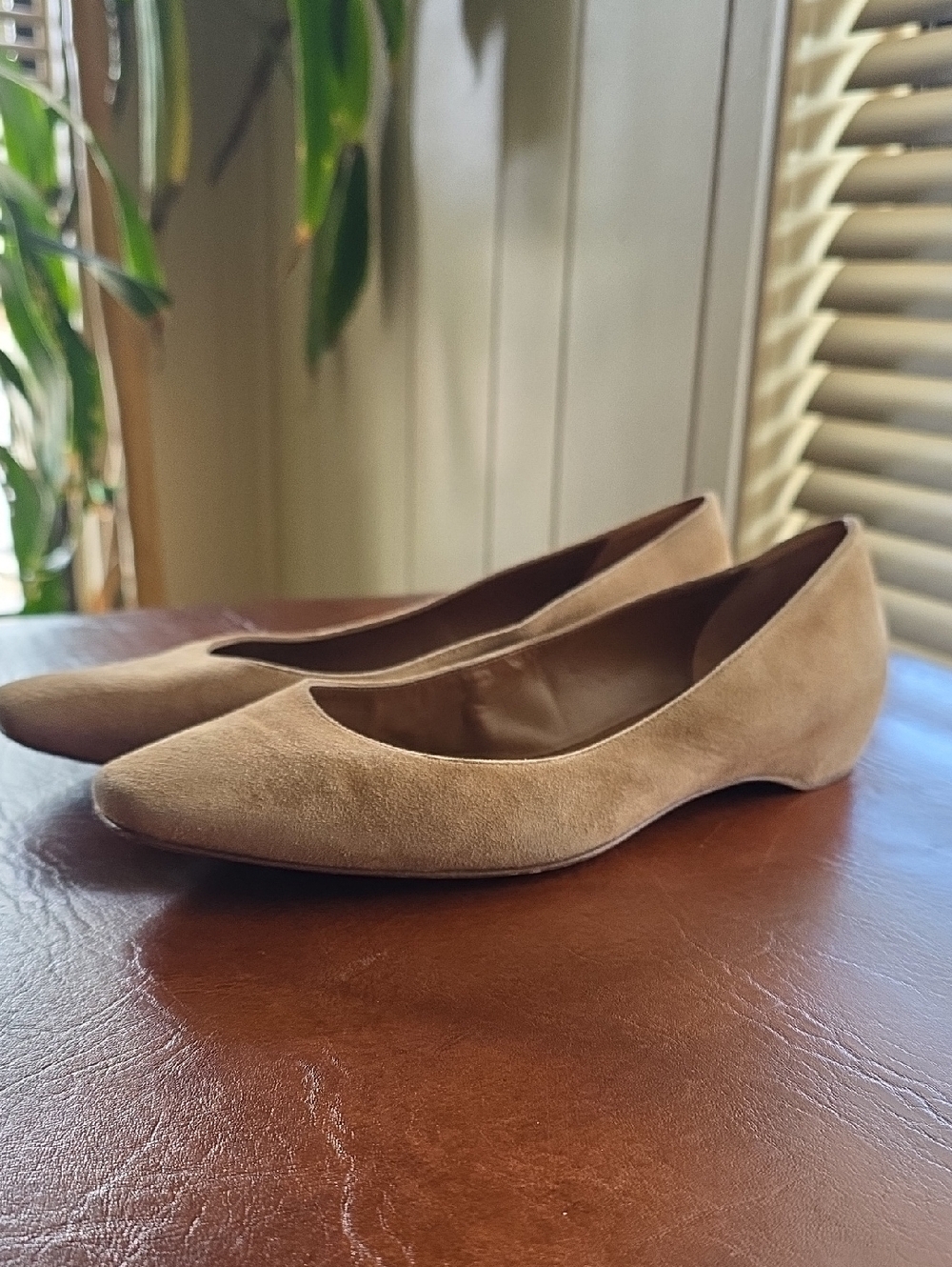 Aquatalia Beige Suede Pointed-Toe Flats